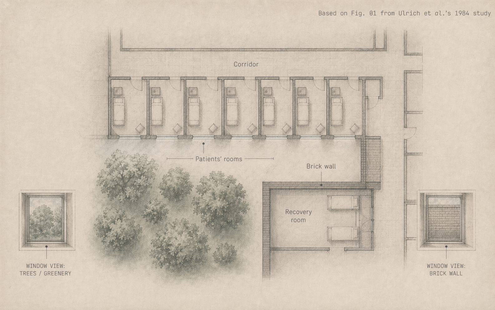 Plan view of the hospital ward from Ulrich (1984): seven patient rooms along a corridor, each facing either a grove of deciduous trees or a brick wall. Insets on the lower corners show the two window views — trees/greenery on the left, brick wall on the right. A recovery room sits adjacent.